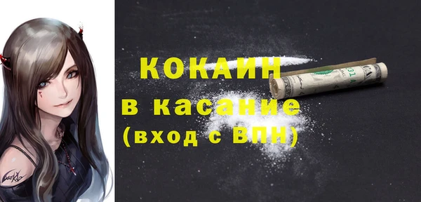 ГАЛЛЮЦИНОГЕННЫЕ ГРИБЫ Осинники
