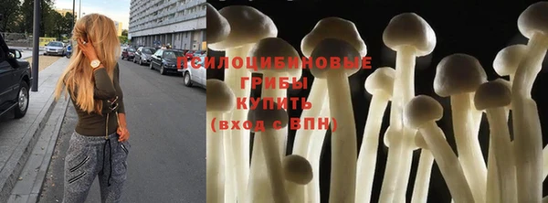 ГАЛЛЮЦИНОГЕННЫЕ ГРИБЫ Осинники