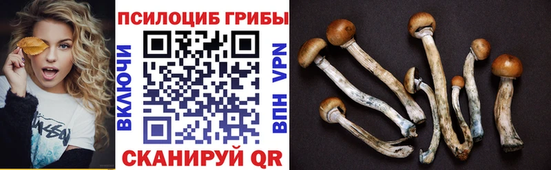 Псилоцибиновые грибы Cubensis  Ладушкин 